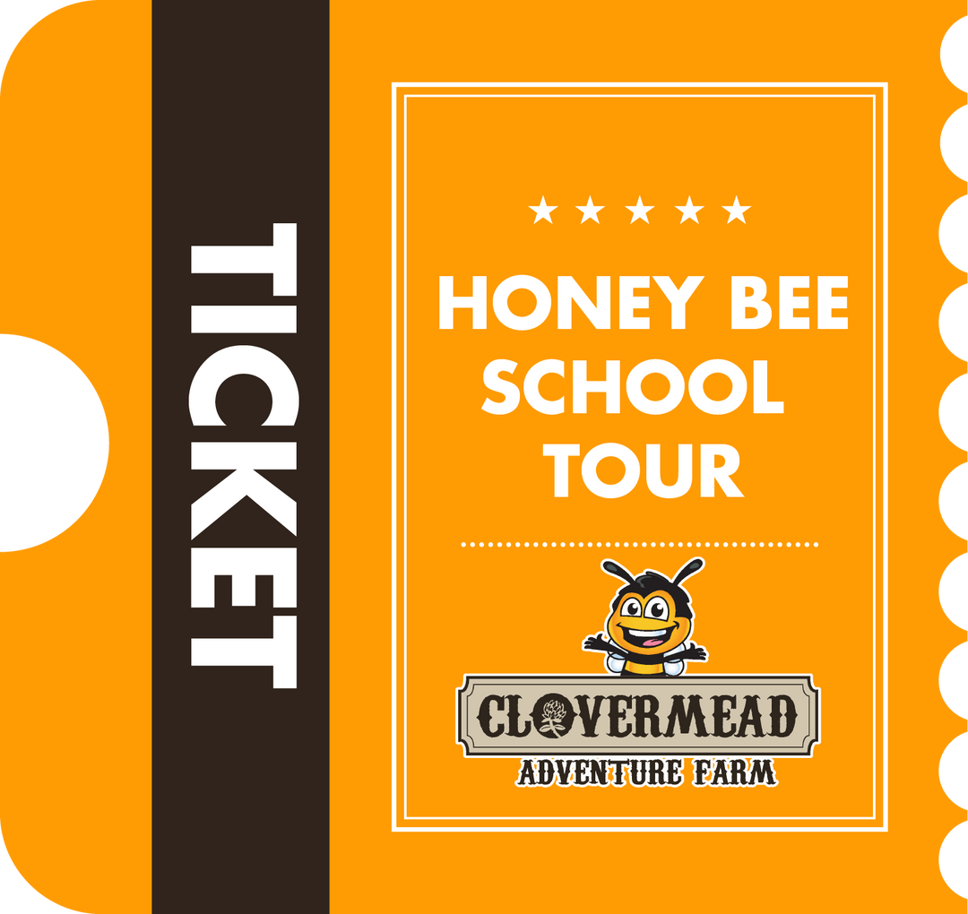 June 4th - Honey Bee School Tour