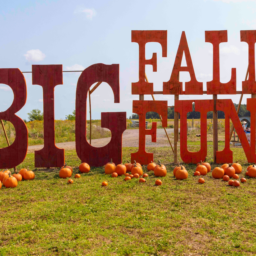 Big Fall Fun photo op. with pumpkins on the ground. pumpkin festival