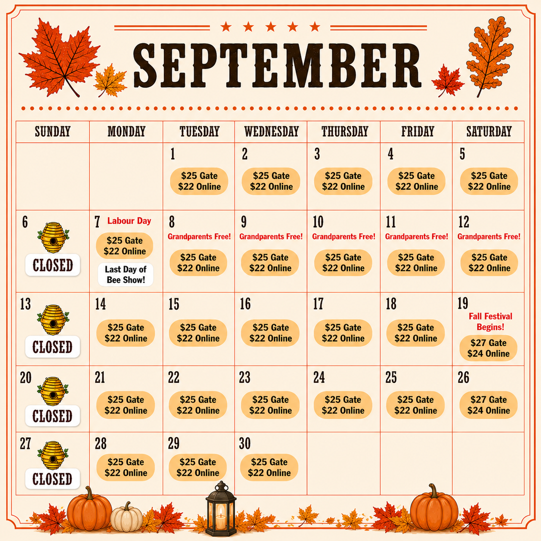 Day Tickets