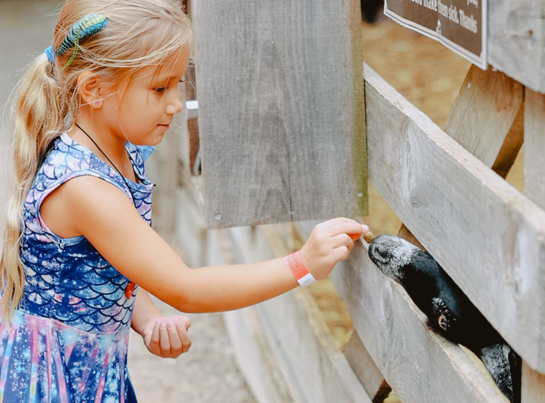 girl feeding goat. petting zoo. petting farm. hands on actitivies. fall fun. family day trip in ontario. animal barn.