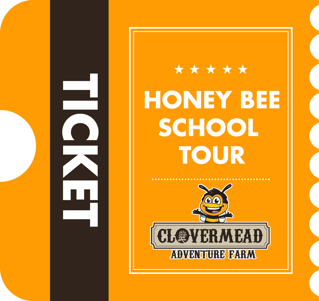 May 29th - Honey Bee School Tour