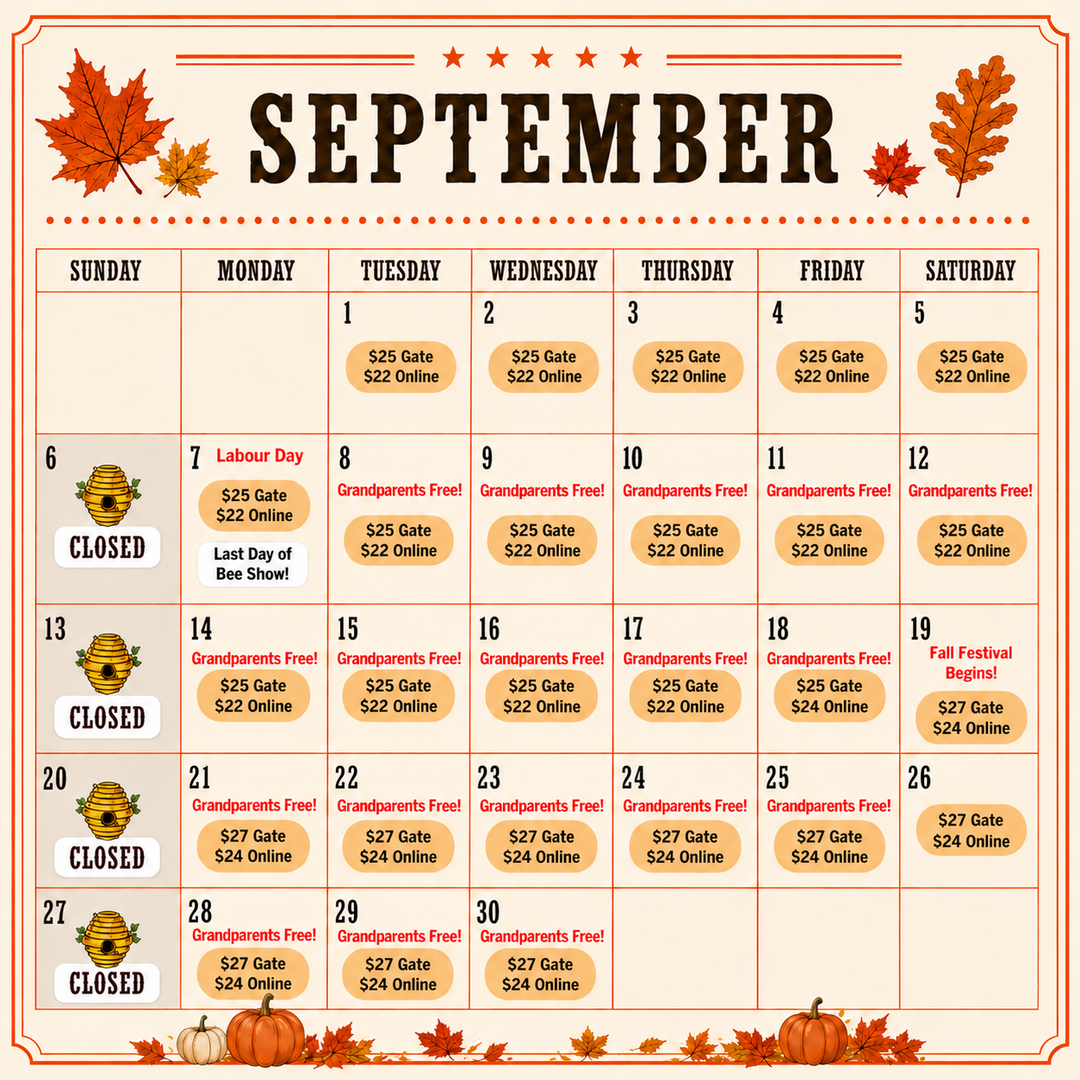 Day Tickets