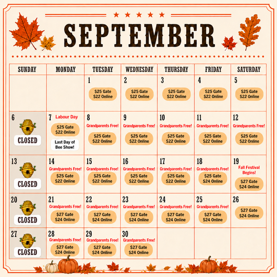 Day Tickets