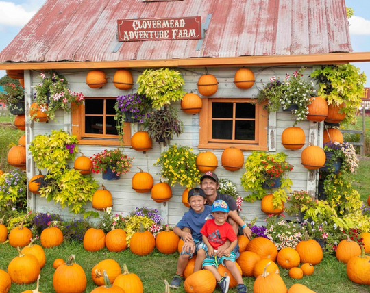 Pumpkin House. Flower House. Fall Photo Op. Fall festival. Fall photo moments. pumpkin patch, pumpkin field. Mums.