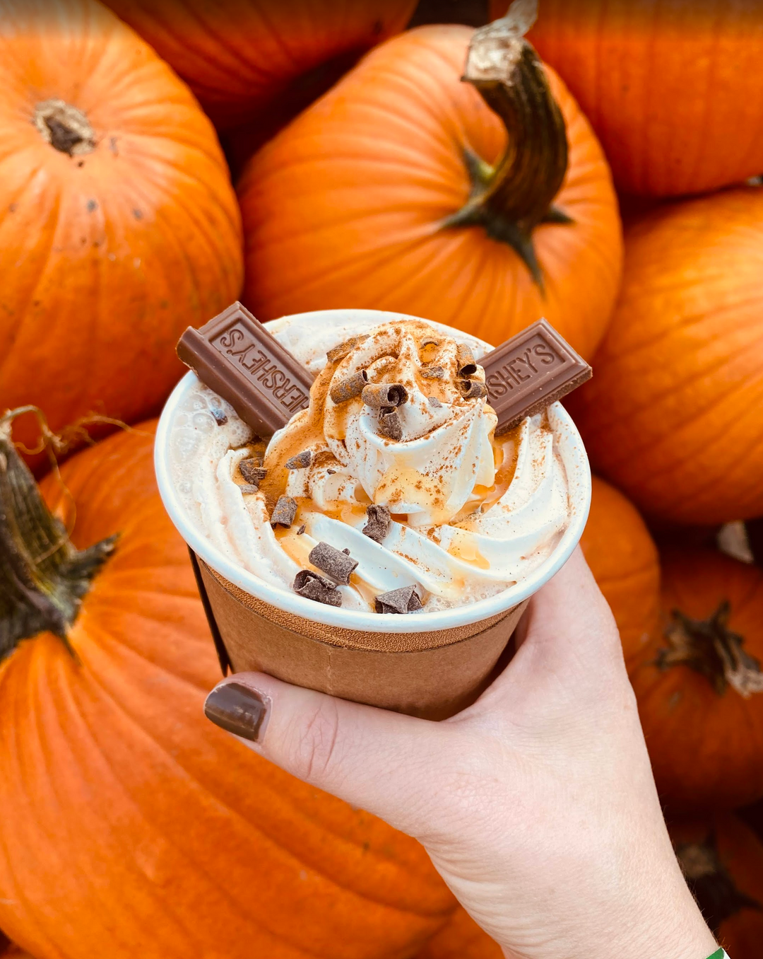Pumpkin Festival
