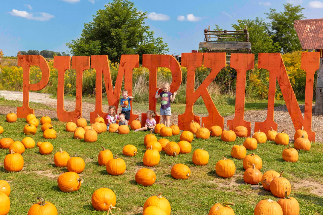 Pumpkin Festival