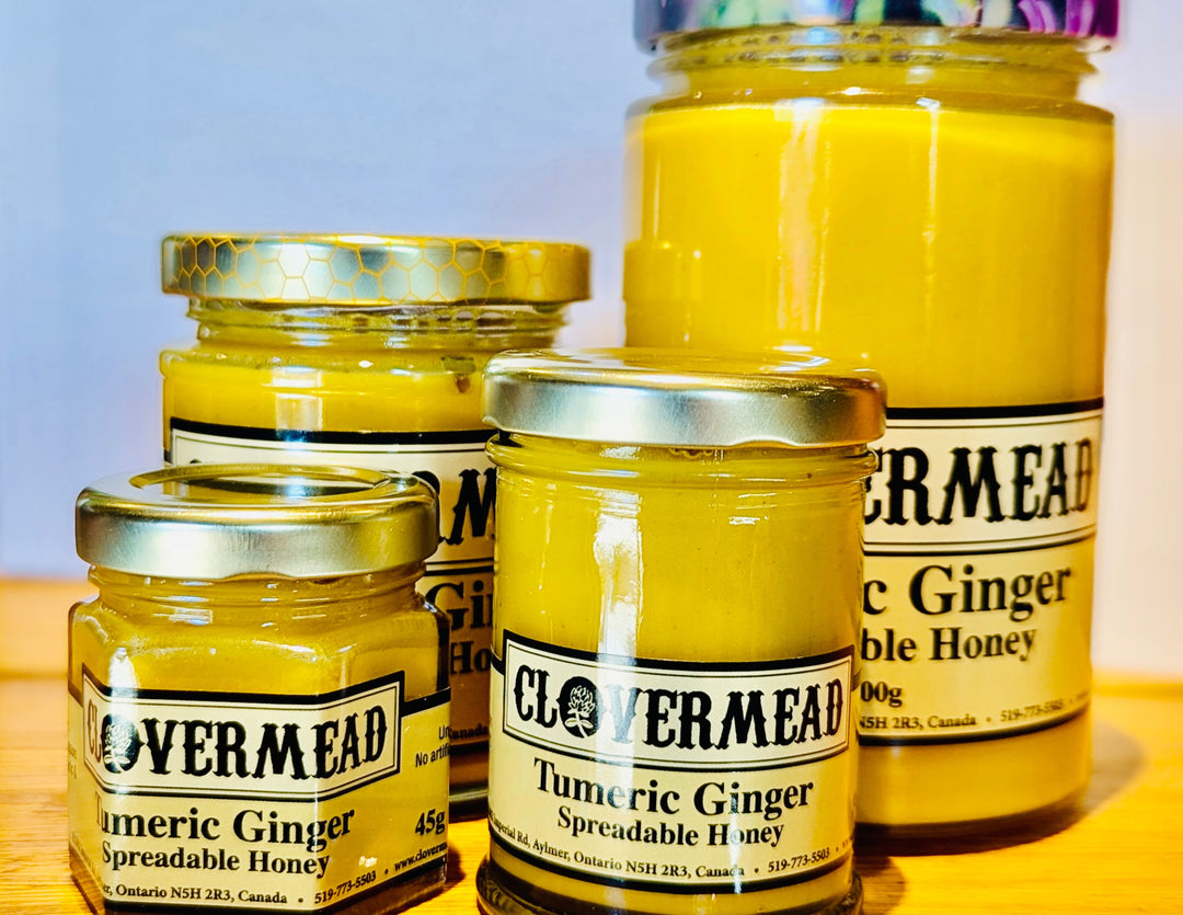 Turmeric Ginger Spreadable Honey